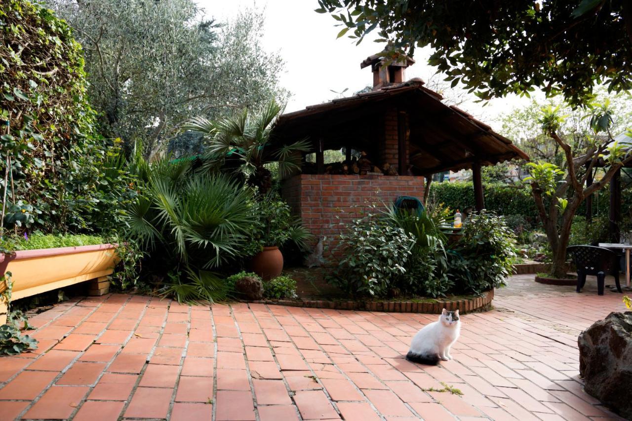 L'Acchiappasogni Bed And Breakfast Colle di Fuori Ngoại thất bức ảnh